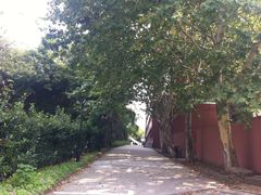 32-南京特殊教育师范学院(燕子矶校区)