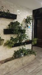 -青青一生美皮肤管理