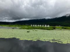 -腾冲北海湿地