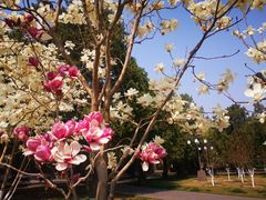 -北京市劳动人民文化宫(太庙)