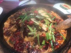 老板恋上鱼-老板恋上鱼(印象城店)