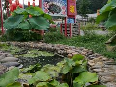 -龙福源密云水库灶台鱼