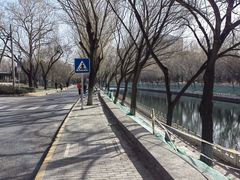 -南长河公园