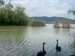 -长兴太湖图影湿地文化园