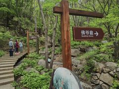 -大岭沟猕猴桃谷风景区