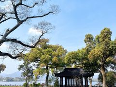 -杭州西湖柳莺里酒店