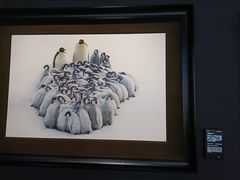 -罗红摄影艺术馆