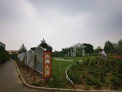 -太阳宫公园