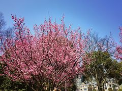 -时间仓(月湖公园店)