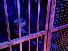 -关你鬼室大型密室逃脱(佛山创意园店)