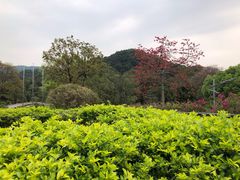 -云溪植物园