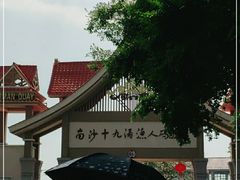 -大湾区中央湿地公园-十九涌
