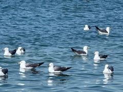 -银沙滩浴场