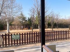 -济南野生动物世界