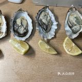 吉吉今天也在吃 blog 09 🦪
