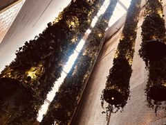 -顶层酒吧ROOF(上海艾迪逊酒店)