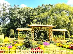 -上海共青森林公园