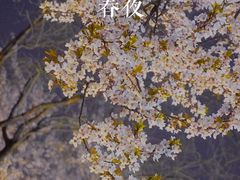 -大雁塔北广场音乐喷泉