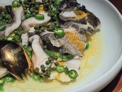 青青椒麻龙胆鱼-CHIC1699远洋私厨