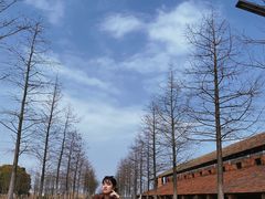 -祝甸砖窑文化馆
