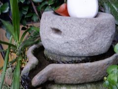 -浙C老邻舍(西城海错店)