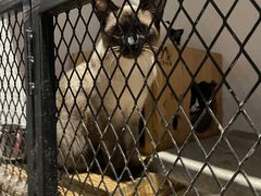 -么么咖啡(燕郊店)