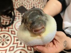 -永安鱼庄·镇江菜(丁卯店)