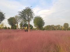 -汉长安城未央宫国家考古遗址公园