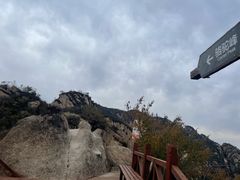 -大岭沟猕猴桃谷风景区