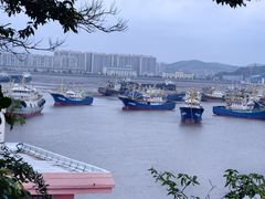 -温岭石塘海边