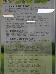 -首都医科大学附属北京儿童医院