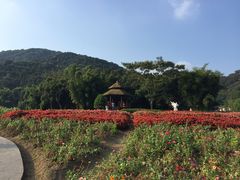-广州市石门国家森林公园