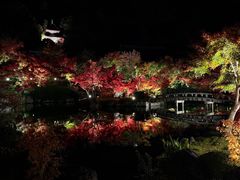 -遵化市禅林寺古银杏风景园