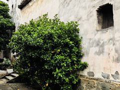 -东梓关景区村庄