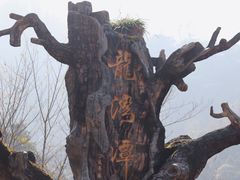 -龙湾潭国家森林公园