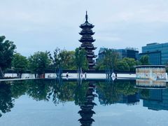 -龙华素斋(龙华路店)