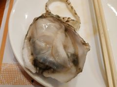 生蚝-千惠生鱼片(连红小区店)