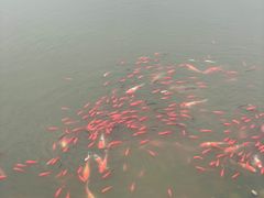 -荆州博物馆