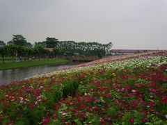 -迪茵湖田家舍生态农场