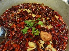 -红辣椒·川菜·火锅(张杨路店)
