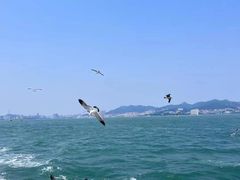 -刘公岛景区