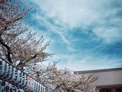 -浅草寺