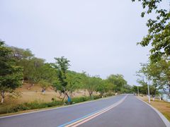 -羊山湖公园