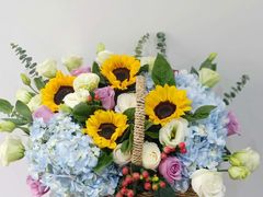 -淘花源花艺鲜花店 开业花篮 绿植(南部商务区店)