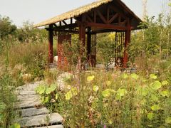 -武清南湖绿博园