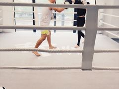 -EFL巴西柔术·综合格斗·泰拳·少儿体能训练(虹桥德必馆)