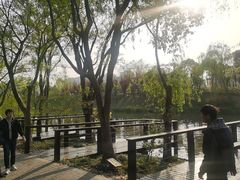 -新江湾城公园