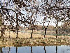 -虎丘湿地公园