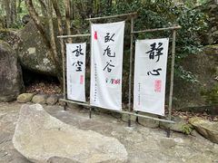 -大鄣山卧龙谷景区
