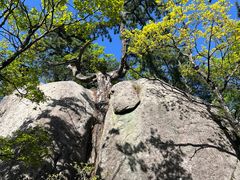 -安徽天堂寨风景区